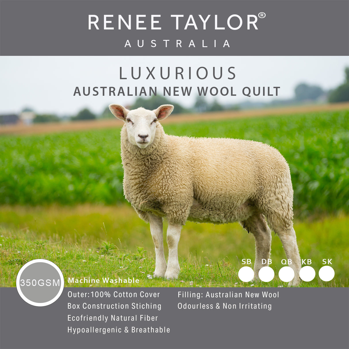 Renee Taylor Luxurious Australian Wool Quilt 350 GSM Double