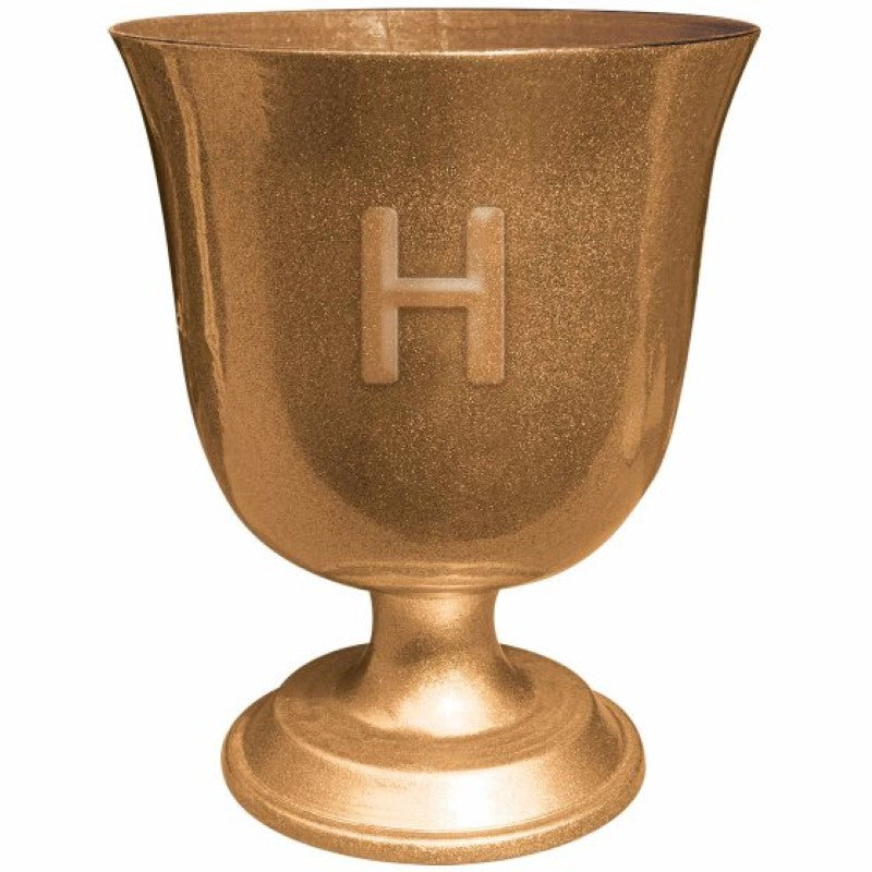 Intricate Harry Potter Goblet with detailed engravings, perfect for fans and collectors alike.