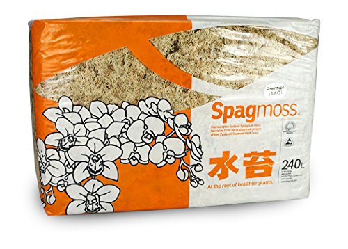 Florist Wire - SpagMoss Blended