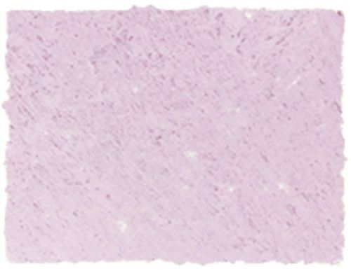 AS SQUARE PASTEL FLINDERS RED VIOLET A