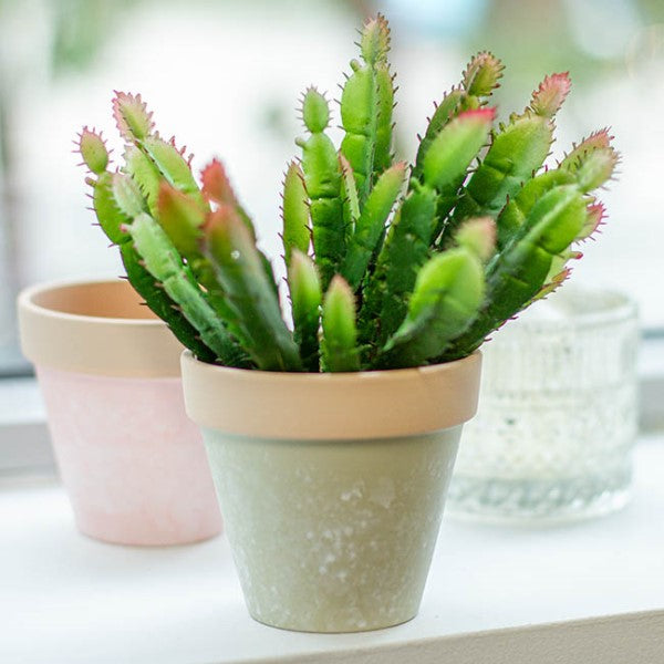 Vase /Planter - Terracotta Taranto Pot. Sage. Sold as Set of 6.