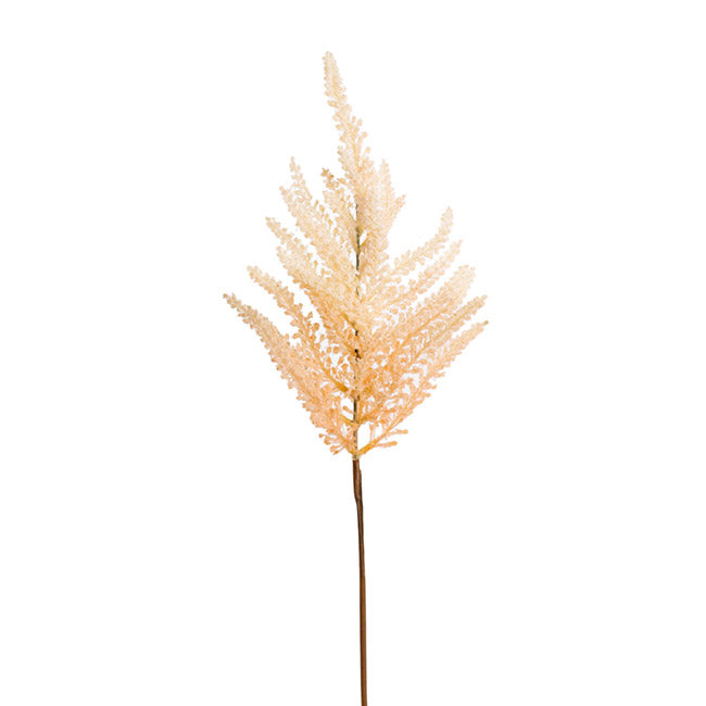Artifcal Flower / Foliage - Fern Spray Almond Gradation