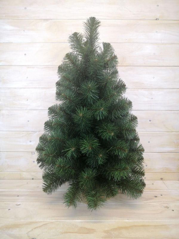 Artificial Australian Pine Tree with Burlap (24")