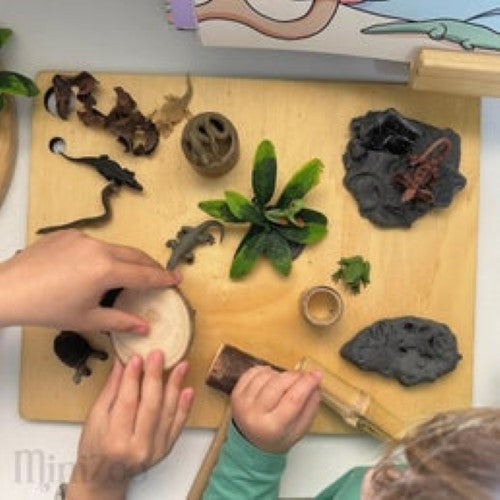 CollectA Tube of Mini Reptiles and Amphibians with 12 hand-painted figures for imaginative play and education.