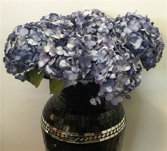Blue & White Combo Hydrangeas Bunch Of 3