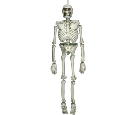 Realistic 1.37m plastic skeleton, ideal for Halloween, education, and themed parties with flexible joints for various poses.