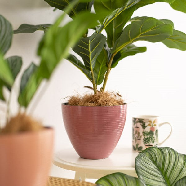 Vase /Planter - Flora Stripe Pot Round Terracotta Rose
