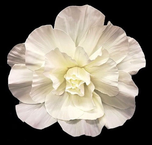 60cm White Rose Head