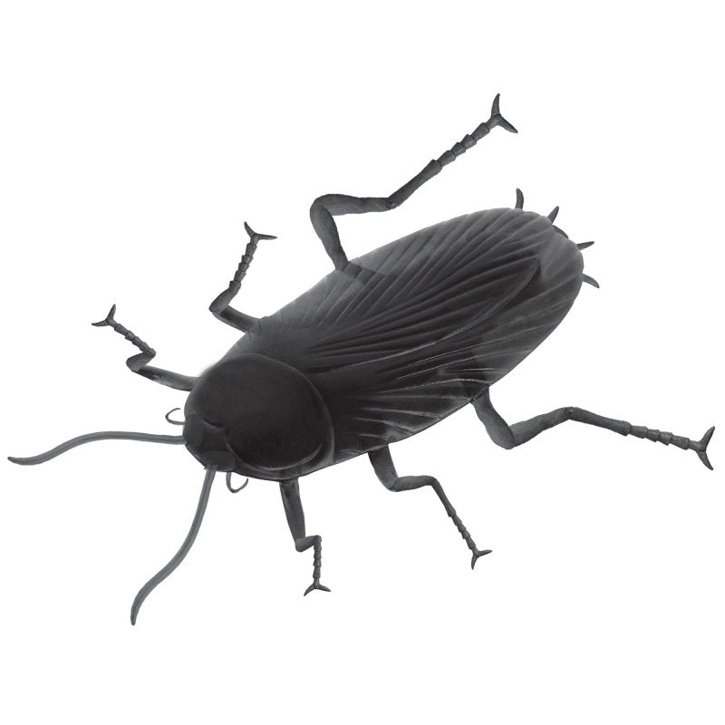 Giant 30cm realistic plastic cockroach Halloween prop for spooky decorations and pranks. Perfect for indoor and outdoor use.