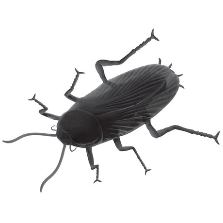 Giant 30cm realistic plastic cockroach Halloween prop for spooky decorations and pranks. Perfect for indoor and outdoor use.