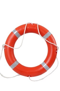 Lifebuoy - Rounds 2.5kg (Each)