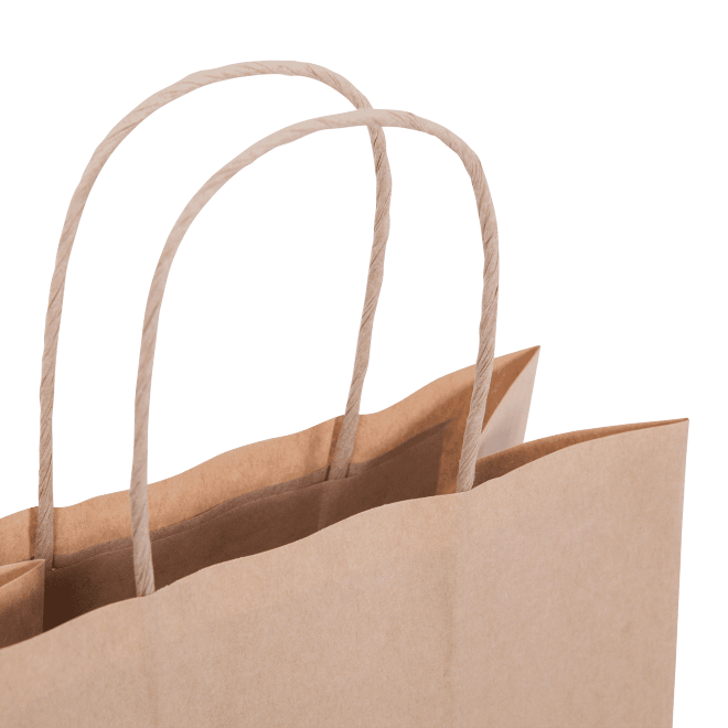 Twist Handle #18 Brown Kraft Paper Carry Bag-420 x 320 x 110mm(Gusset)-200-Case
