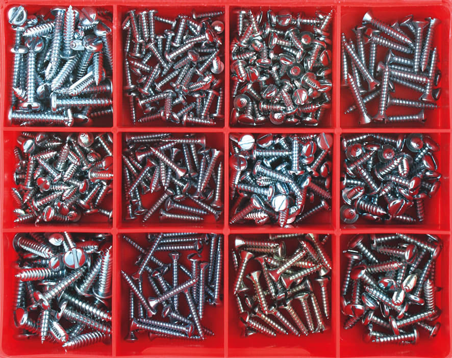Champion Slotted Self Tapping Screw Assortment 420 piece