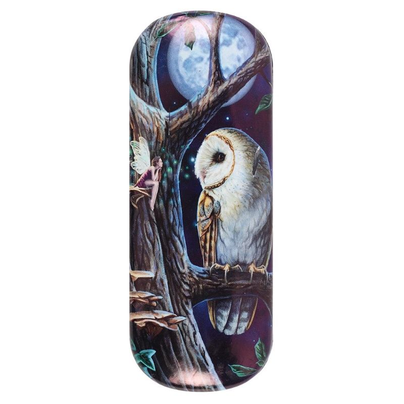 Fairy Tales Glasses Case By Lisa Parker