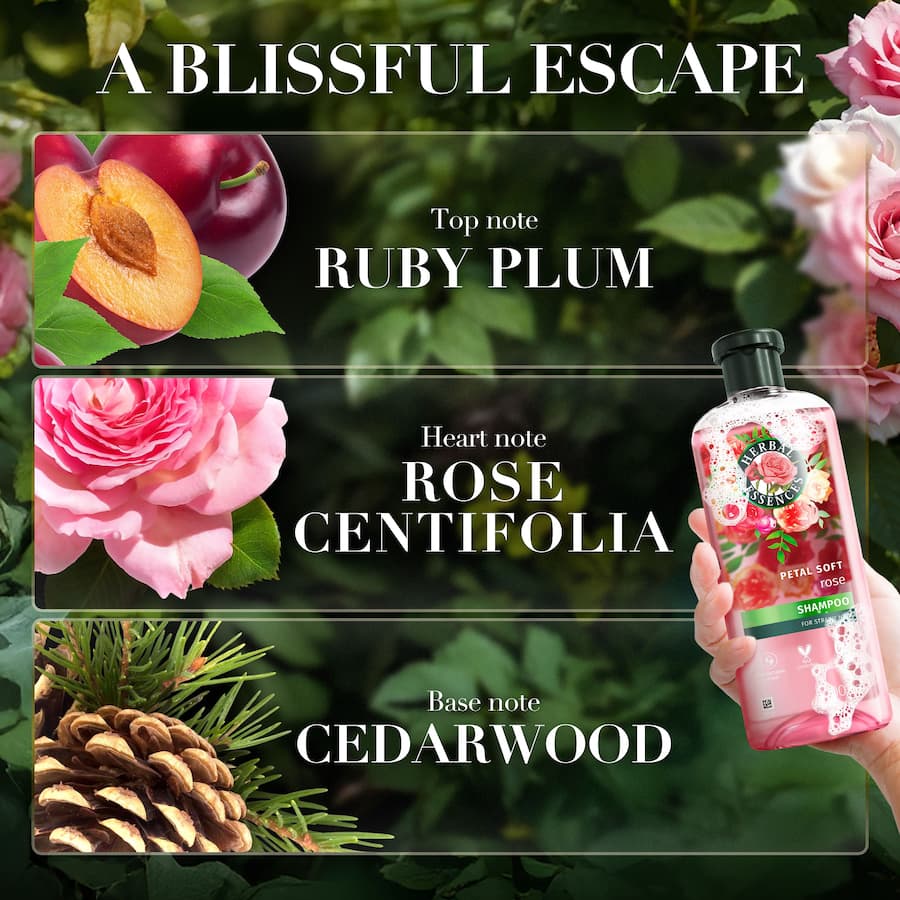 Herbal Essence Conditioner Petal Soft Rose 400mL
