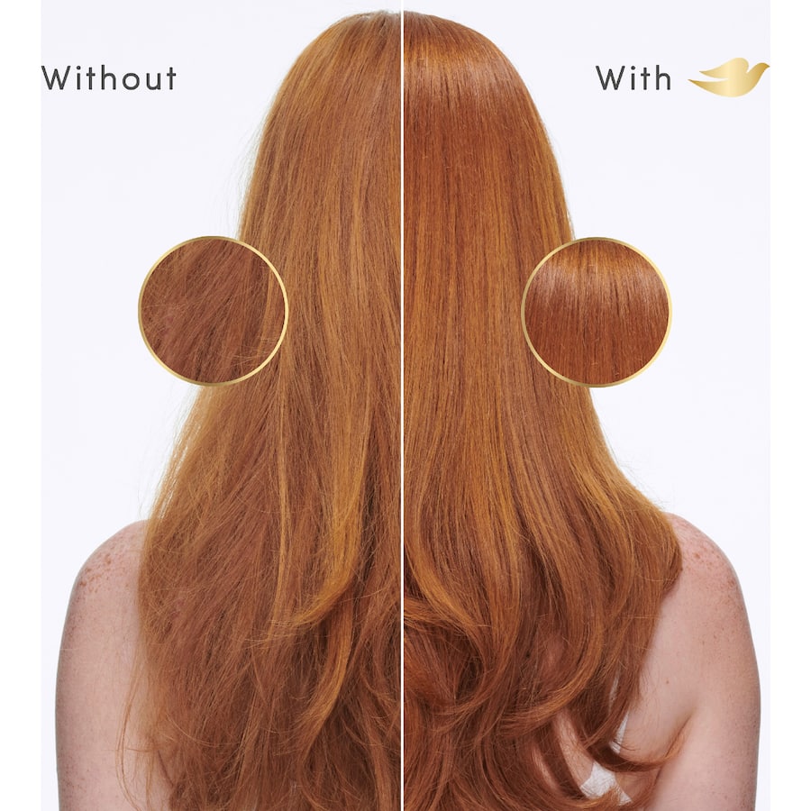 Dove Shampoo Bond Strength + Biotin 350mL