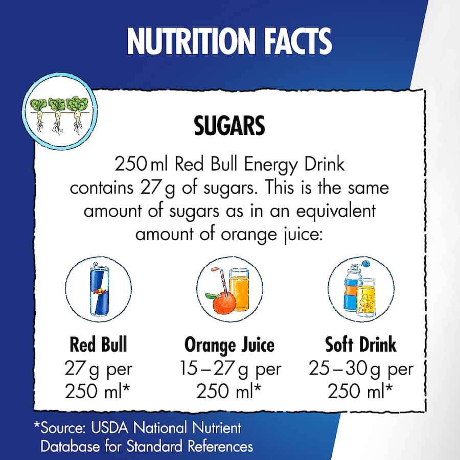 Red Bull Energy Drink Winter Passionfruit 473mL