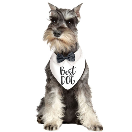 Stylish Wedding Bandana for Dogs, 36cm, perfect for weddings and special occasions, ensuring comfort and flair.