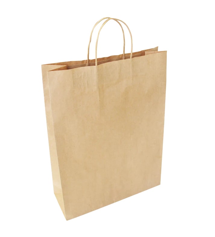 Twisted Handle Paper Bags Large 25 (Pack)