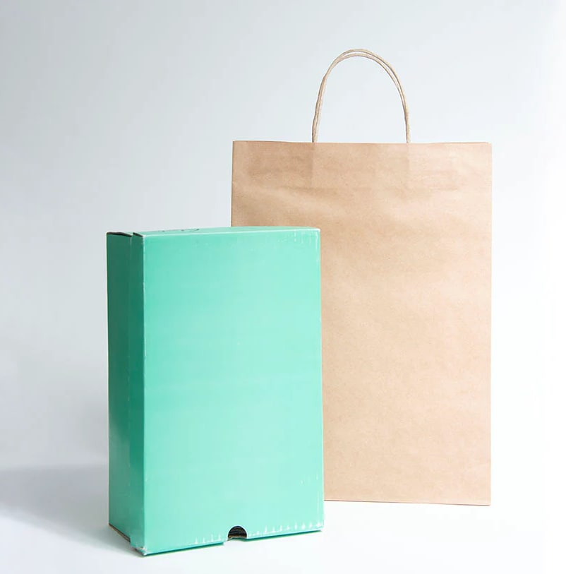 Twisted Handle Paper Bags Large 25 (Pack)