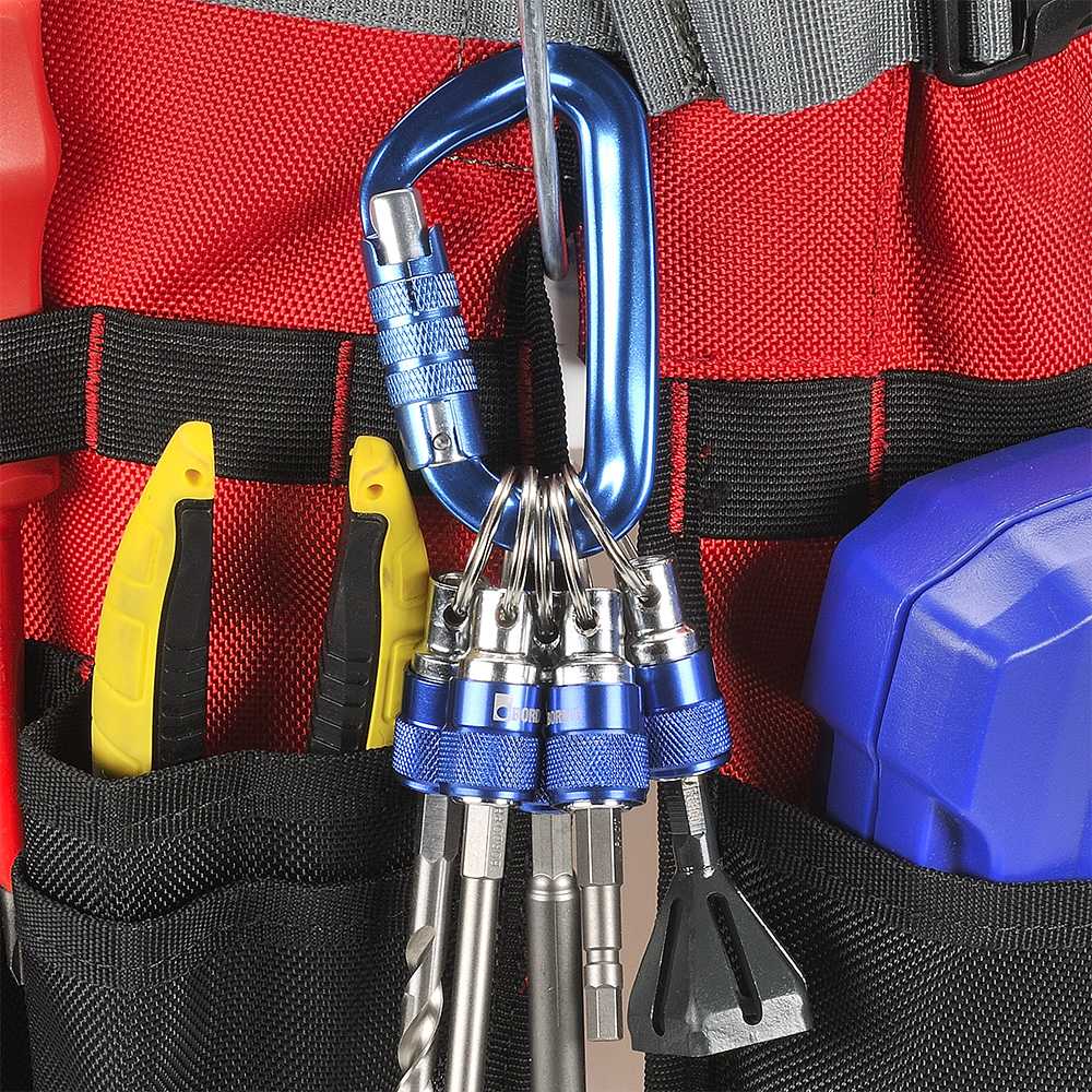 Carabiner with 5 x 1/4" Hex Quick Change Holders