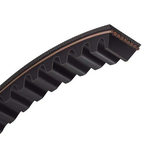 Vee belt B section Cogged BX 25 (BX25) (each)