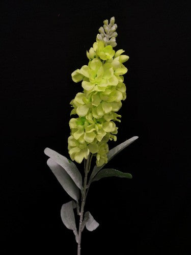 Stock (Green)