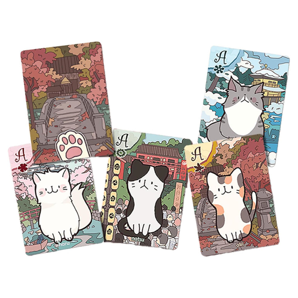 Playing Cats - Spring