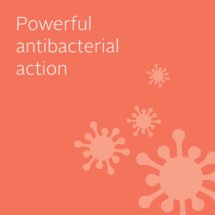 Ecostore Toilet Cleaner Eucalyptus 500mL