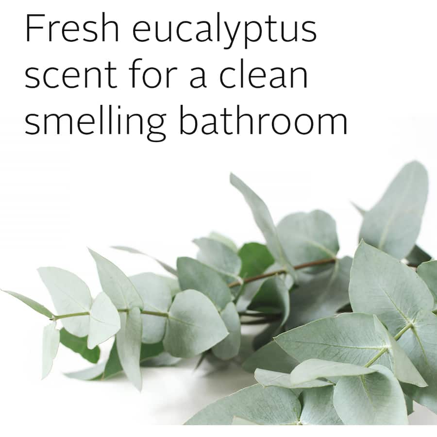 Ecostore Toilet Cleaner Eucalyptus 500mL