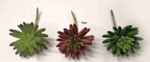 Fleshy Succulent (Red)