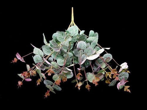 Eucalyptus Bush with Red Edges (Green / Red)