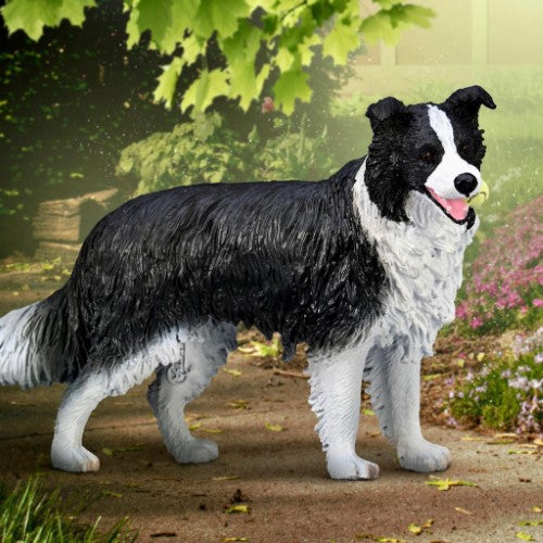 Figurine - CollectA Border Collie