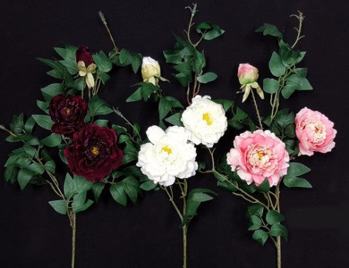 Single Pink Peony