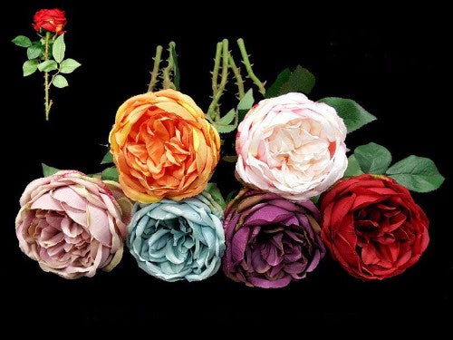 Teal David Austin Rose Stem