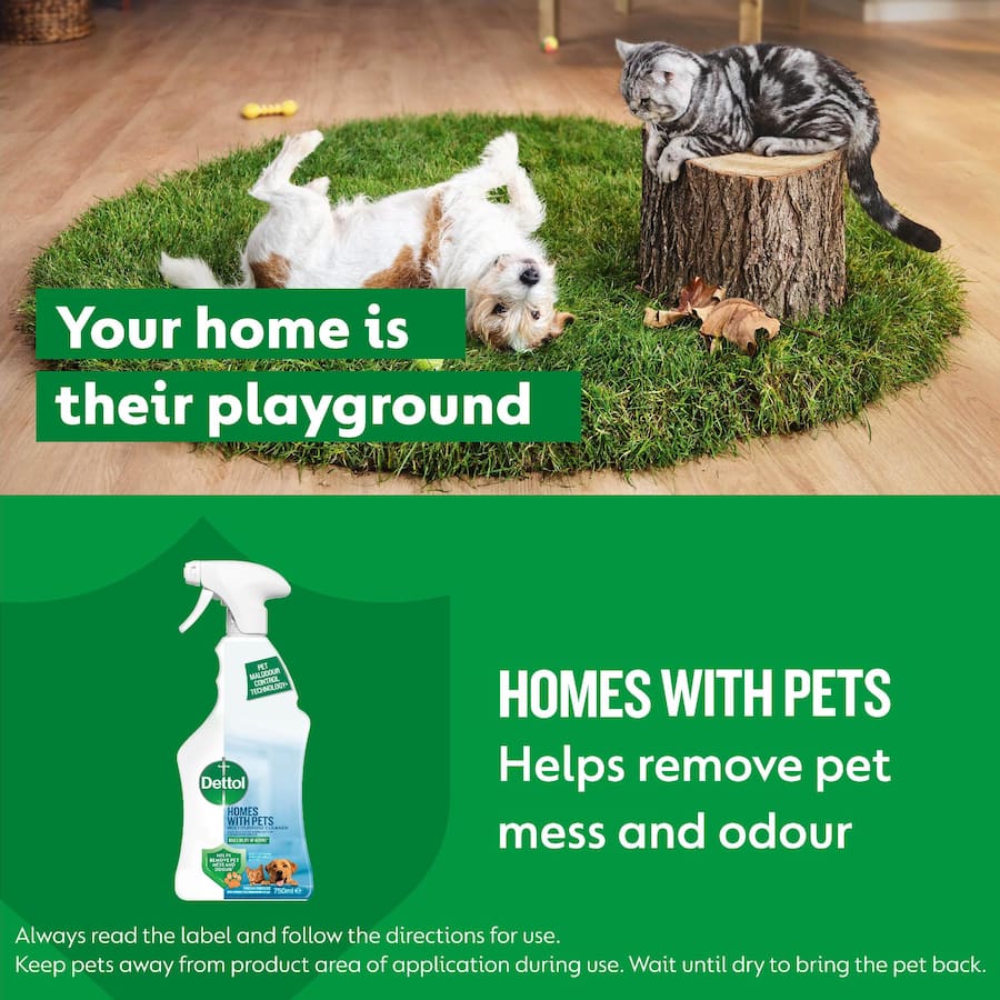 Dettol Multipurpose Cleaner Homes With Pets Trigger 750mL