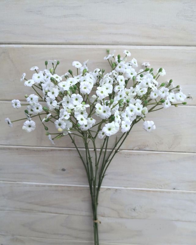 Baby Breath Spray Bundle (x9)