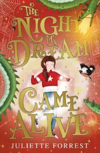 Cover of 'The Night My Dream Came Alive', a children's book about Ollo's quest for magical dreams and adventures.