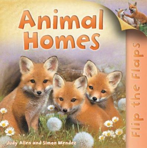 Interactive children's book exploring animal homes with vibrant flaps and engaging illustrations.