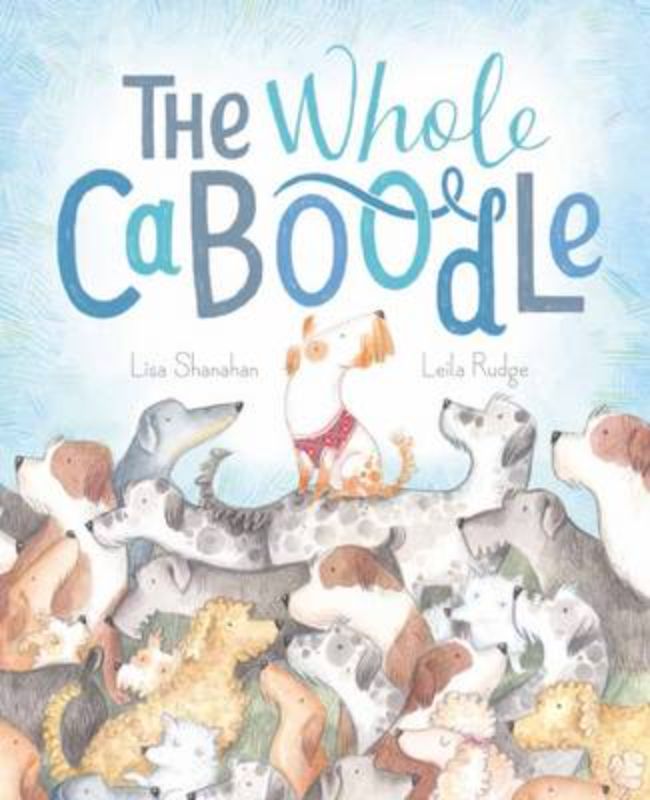 Hardback picture book 'Whole Caboodle' featuring whimsical characters on a joyful adventure to the park.