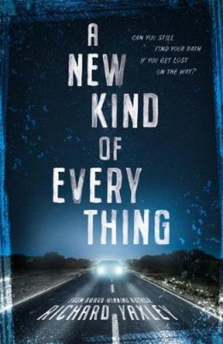 Cover of 'A New Kind of Everything', showcasing themes of resilience and family drama in young adult literature.
