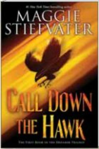 Paperbook edition of *Call Down the Hawk*, the first book in the *Dreamer Trilogy*, exploring dreams and their dangers.