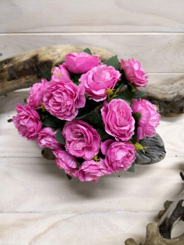 Rose Posy - Rambler (Beauty)