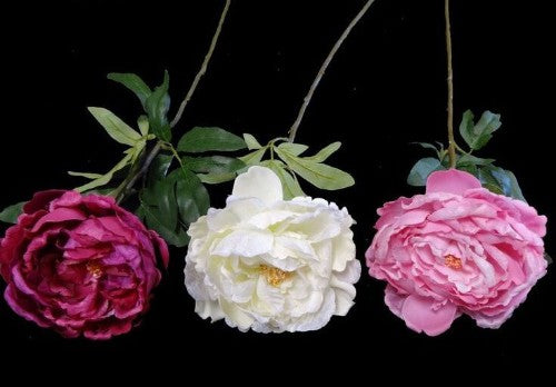 Peony Spray (Pink)