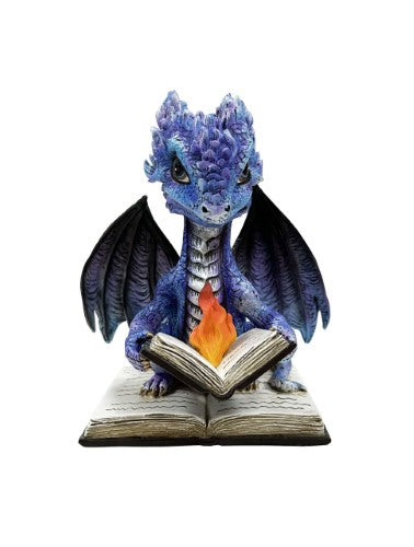 Ornament - Dragon Reading Book on Fire (15cm)