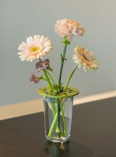 Flower Arranging Disc - Medium Green (Set of 12)