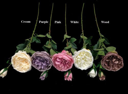 Pink David Austin Rose Stem