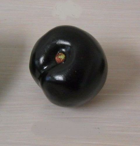 Artificial Plum