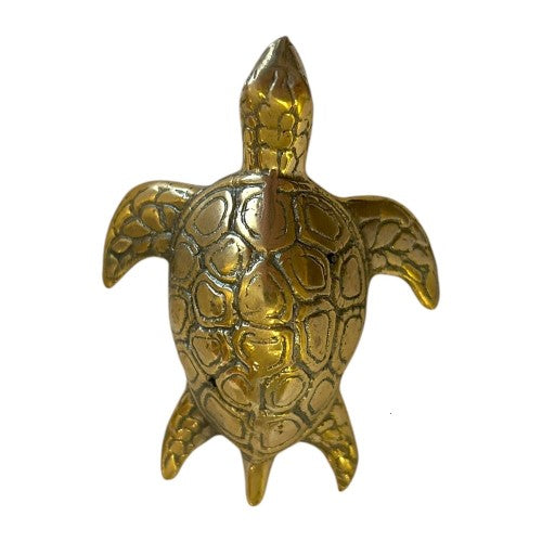 Turtle Brass - Home Décor