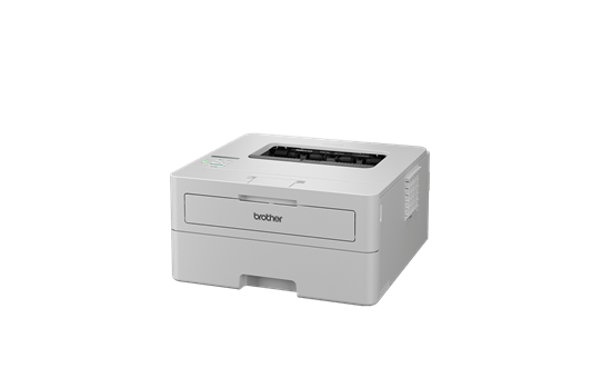 Brother HLL2865DW Mono Laser